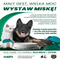 Mały gest, wielka moc - kampania na rzecz zwierząt podczas upałów.