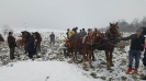 Kulig na Kółkach w Dębowej