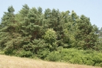Magurski Park Narodowy