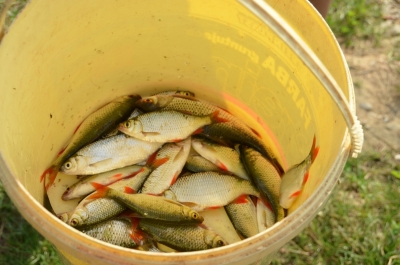 Zawody Wędkarskie_18