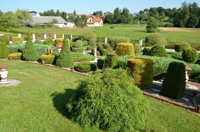 III miejsce w Konkursie