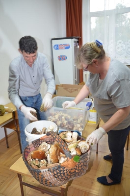 grzybobranie 2018_26