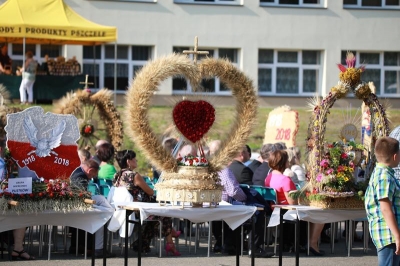 Dożynki Powiatowe 2018 w Jodłowej_42